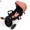 Tricicleta Copii Cu Pozitie De Somn Scaun Rotativ Sunete Si Lumini TRC-05,Roz Somon Plus
