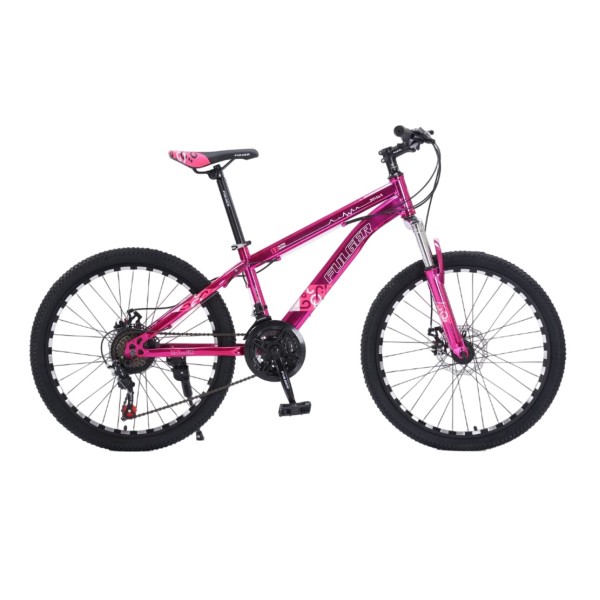 Bicicleta FULGER, 24CR, roți 24 inch, Cadru Otel, Frane pe Disc, Roz Bicicleta FULGER, 24CR, roți 24 inch, Cadru Otel, Frane pe Disc, Roz