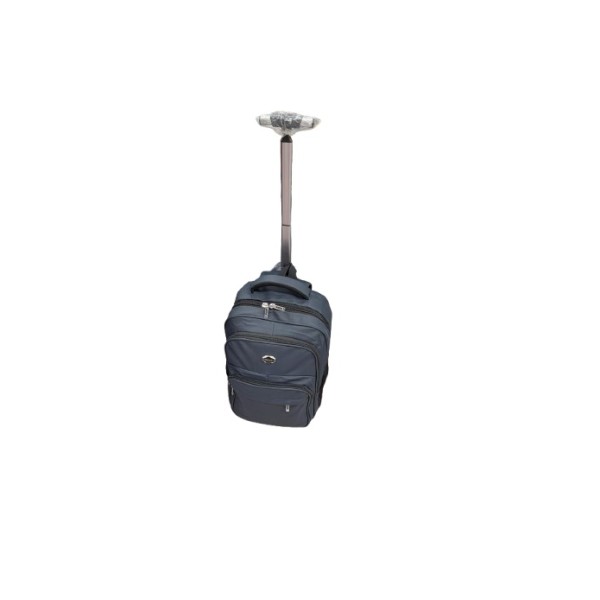 Ghiozdan tip troler pentru Calatorii si scoala cu carcasa tare, cu roti, GZ103