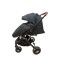 Carucior sport cu maner reversibil si husa, 6-36 luni, suspensii pe cadru, pliabil si troler, C1-NEGRU