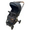 Carucior sport cu maner reversibil si husa, 6-36 luni, suspensii pe cadru, pliabil si troler, C1-NEGRU
