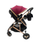 Carucior 2 in 1 cu landou reversibil, geanta pentru scutece, 0-36 luni, plasa pentru insecte, Colectie Lux, 800-Rosu