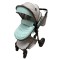 Carucior 2 in 1 Reversibil, Landou si Sport, copertina extensibil, geanta pentru scutece, 0-36 luni, T8-Verde-Menta
