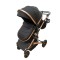 Carucior 2 in 1 pentru copii Landou si Sport, cu maner reversibil si cu suspensii, 0-36 luni, T7-Negru