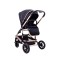 Carucior 2 in 1 transformabil, 0-36 luni, Cu suspensii, Maner reversibil, Pozitie de somn si sezut, colectia de lux, F3-Negru