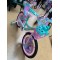 Bicicleta cu Cos Printesa ROZ intre 5 -9 ani, Scaun pentru papusi Roti ajutatoare, 20 inch, oglinda, aparatoare, frana de mana fata-spate