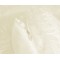 Lenjerie de pat dublu Cocolino 4 piese, Super Pufoasa LFS4