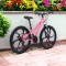 Bicicletă Caraiman, roți 24 sau 26 inch, cadru oțel, frâne pe disc, ROZ, TBA2