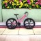 Bicicletă Caraiman, roți 24 sau 26 inch, cadru oțel, frâne pe disc, ROZ, TBA2