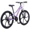 Bicicletă Caraiman, roți 24 sau 26 inch, cadru oțel, frâne pe disc, MOV, TBA3