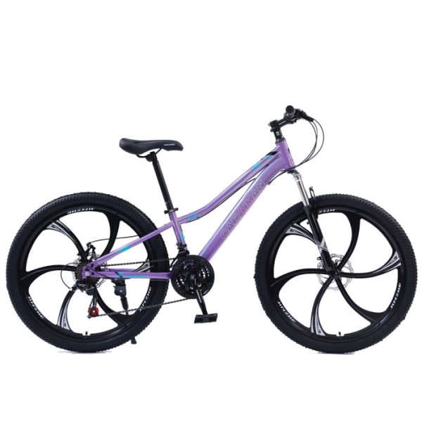 Bicicletă Caraiman, roți 24 sau 26 inch, cadru oțel, frâne pe disc, MOV, TBA3