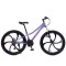 Bicicletă Caraiman, roți 24 sau 26 inch, cadru oțel, frâne pe disc, MOV, TBA3