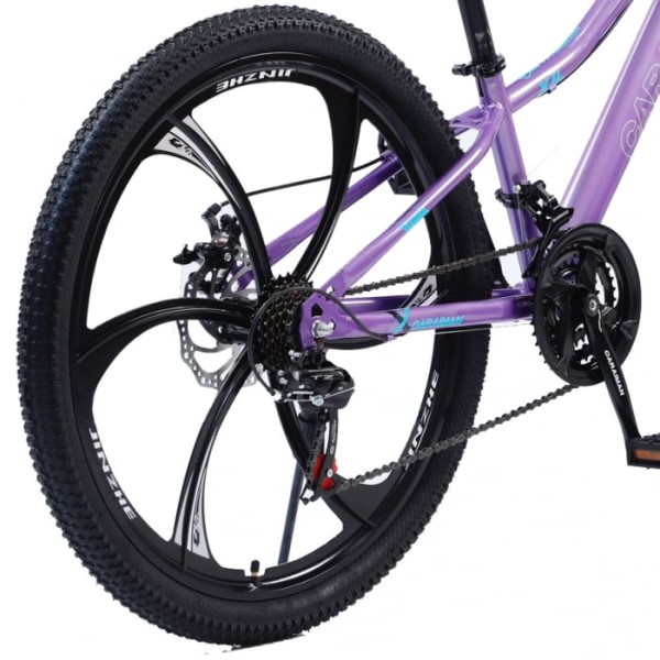 Bicicletă Caraiman, roți 24 sau 26 inch, cadru oțel, frâne pe disc, MOV, TBA3