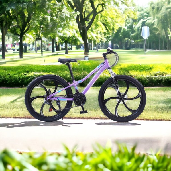 Bicicletă Caraiman, roți 24 sau 26 inch, cadru oțel, frâne pe disc, MOV, TBA3