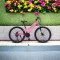 Bicicletă Caraiman, roți 24 sau 26 inch, cadru oțel, frâne pe disc, roz, TBA5