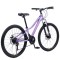 Bicicletă Caraiman, roți 24 sau 26 inch, cadru oțel, frâne pe disc, MOV, TBA6