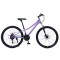 Bicicletă Caraiman, roți 24 sau 26 inch, cadru oțel, frâne pe disc, MOV, TBA6