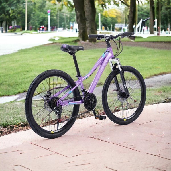 Bicicletă Caraiman, roți 24 sau 26 inch, cadru oțel, frâne pe disc, MOV, TBA6