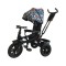 Tricicleta copii cu scaun reversibil si spatar reglabil multicolor 5099 EVA