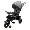 Tricicleta copii cu scaun reversibil si spatar reglabil negru-auriu 5099 EVA