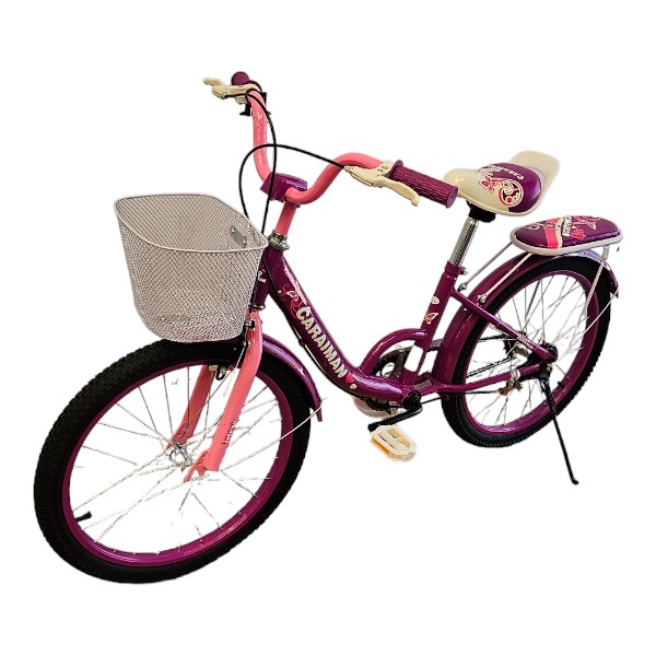 Bicicleta CARAIMAN 16G, Mov, Roti 16 inch, Pentru Varsta 6-10 ani, inclus cosulet, portbagaj, roti ajutatoare Bicicleta CARAIMAN 16G, Mov, Roti 16 inch, Pentru Varsta 6-10 ani, inclus cosulet, portbagaj, roti ajutatoare