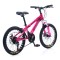 Bicicletă Caraiman, roți 20, cadru oțel, frâne pe disc, 20 CR roz Bicicletă Caraiman, roți 20, cadru oțel, frâne pe disc, 20 CR roz