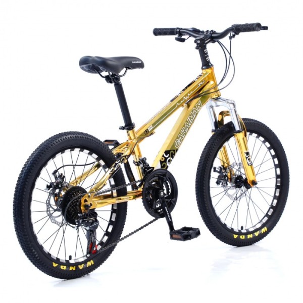 Bicicletă Caraiman, roți 20, cadru oțel, frâne pe disc, 20 CR Auriu Bicicletă Caraiman, roți 20, cadru oțel, frâne pe disc, 20 CR Auriu