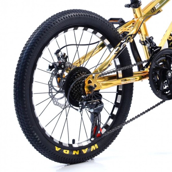 Bicicletă Caraiman, roți 20, cadru oțel, frâne pe disc, 20 CR Auriu Bicicletă Caraiman, roți 20, cadru oțel, frâne pe disc, 20 CR Auriu