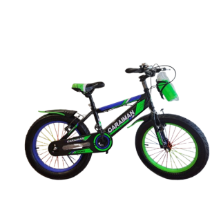 BICICLETE
